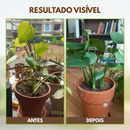 Ativador de Solo - O Segredo para uma Terra Sempre Fértil + BRINDE HOJE: Kit 20 Sementes Premium🔥