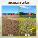 Ativador de Solo - O Segredo para uma Terra Sempre Fértil + BRINDE HOJE: Kit 20 Sementes Premium🔥