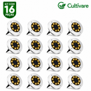 Luzes Solares para Jardim com LEDs Premium À prova d'água IP65 - PROMOÇÃO DIA DOS PAIS 🔥